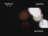 动物世界 《动物世界》 20130808 爱上食人鳄