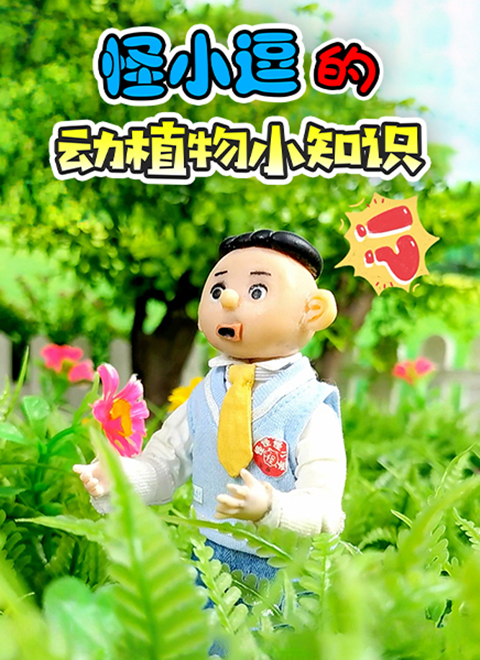 怪小逗的动植物小知识