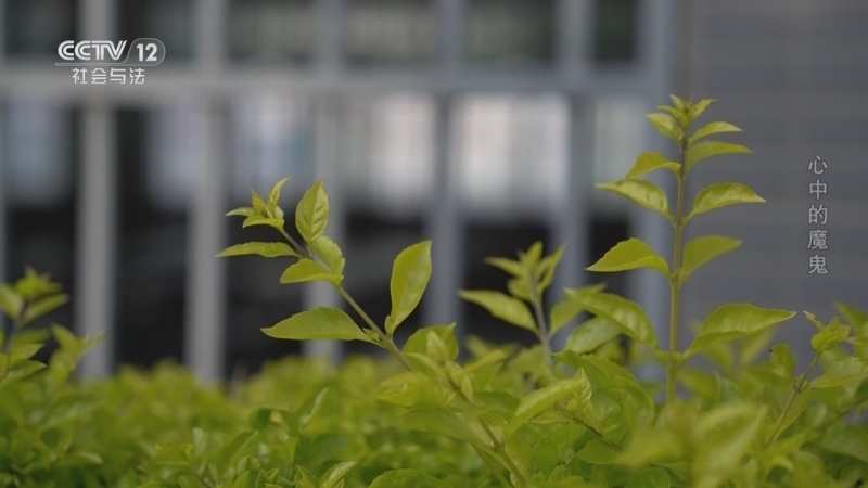 《从心开始》 20260118 警钟长鸣·心中的魔鬼