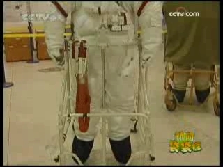 新闻袋袋裤 新闻袋袋裤 2008年 第247期