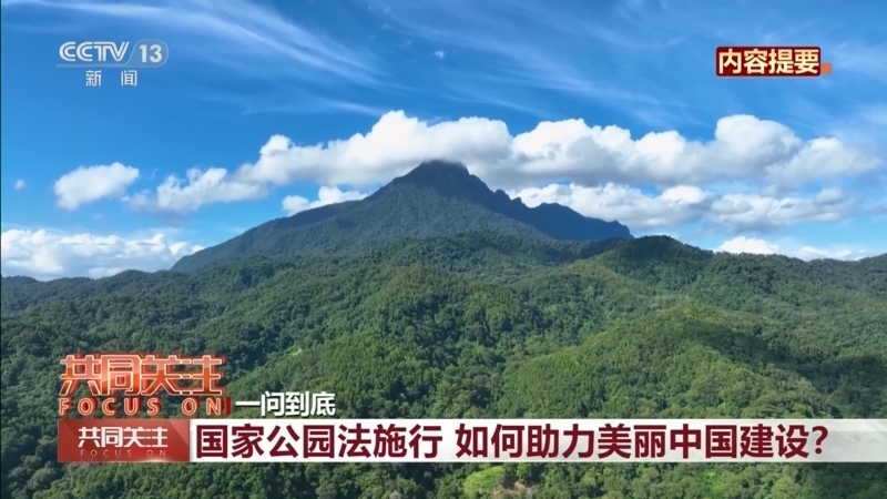 共同关注 《共同关注》 20260102
