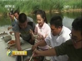 生财有道 《生财有道》 20160818 纳林湖边的生态财富