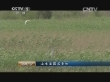 消费主张 《消费主张》 20140827 山水田园乐养生