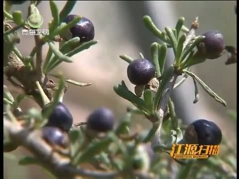 江源扫描 《江源扫描》 20151010 保护生态环境 成就产业梦想