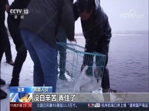 24小时 《24小时》 20191121