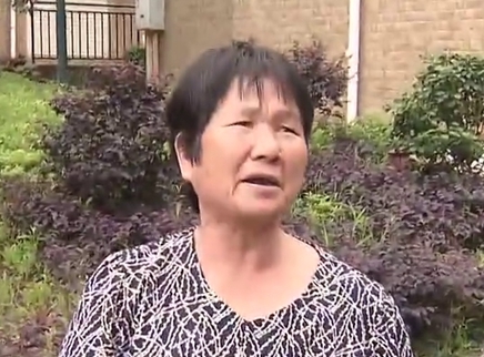 寻情记 亲家母变老伴 亲上加亲心难安