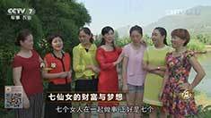 致富经 [致富经]七仙女的财富与梦想 20161011
