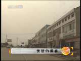 天网 天网 2010年 第253期 愤怒的乘客