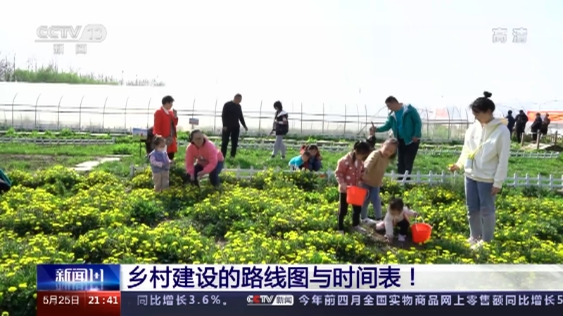 新闻1+1 《新闻1+1》 20220525 乡村建设的路线图与时间表！