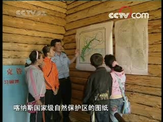 芝麻开门【央视】 喀纳斯探秘——森林寻宝