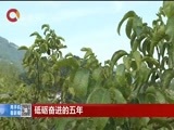 重庆新闻联播 《重庆新闻联播》 20170729