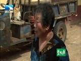 大王小王 《大王小王》 20160810 燕子：我的家在哪里（上）