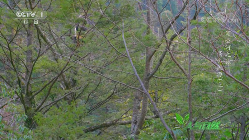 人与自然 《人与自然》 20200907 湄公河之旅——高山溯源（上）