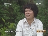 生财有道 [生财有道]富民一方的杏花鸡(20121121)
