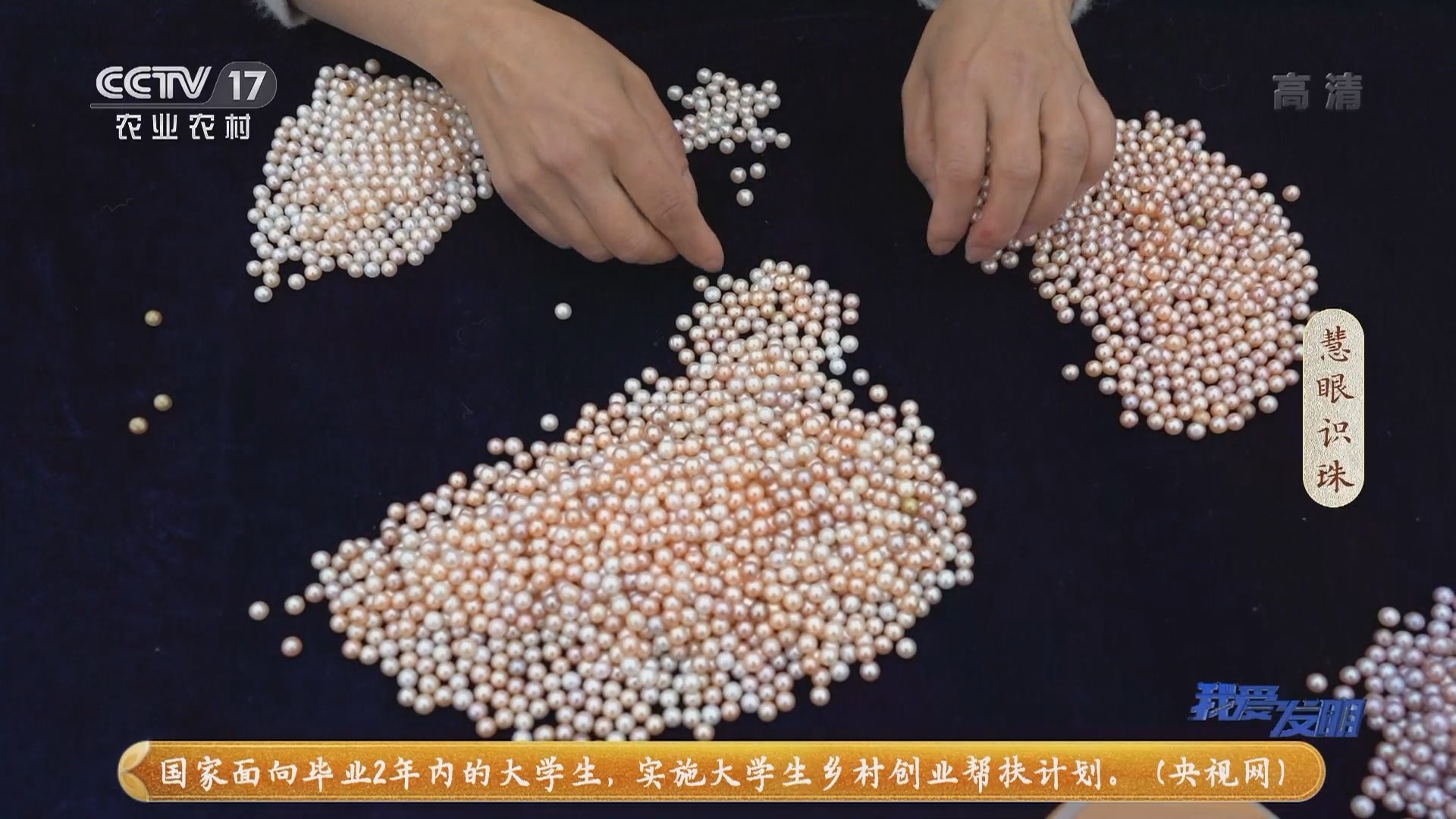 《我爱发明》 20211221 慧眼识珠