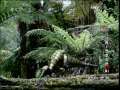 动物世界 动物世界 2009年 第151期