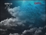 人与自然 《人与自然》 20120201 自然发现——与狮子同行（下）
