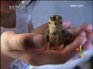快乐体验 快乐体验 2008年 第97期