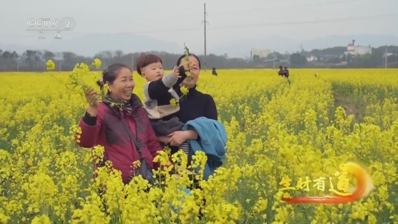 生财有道 《生财有道》 20240322 千年灵渠畔 盎然春意浓