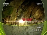 地理中国 《地理中国》 20170417 寻找宝石花