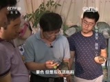 走近科学 《走近科学》 20160328 科学鉴宝—翡翠（上）