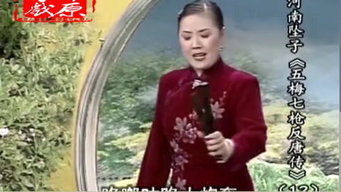 河南坠子 坠子《五梅七枪反唐传》