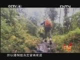 北纬30&deg;&middot;中国行 （下） 《远方的家》 北纬30°·中国行 第一百六十三集 墨脱纪行：向往背崩20130218