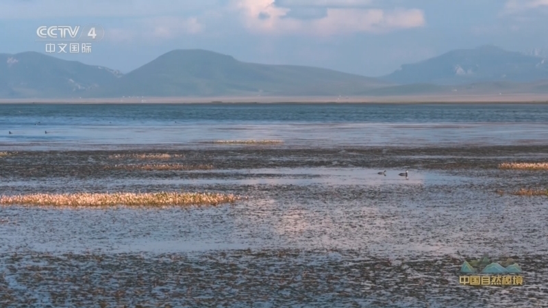 《远方的家》 20251023 中国自然秘境 绿水青山织锦绣