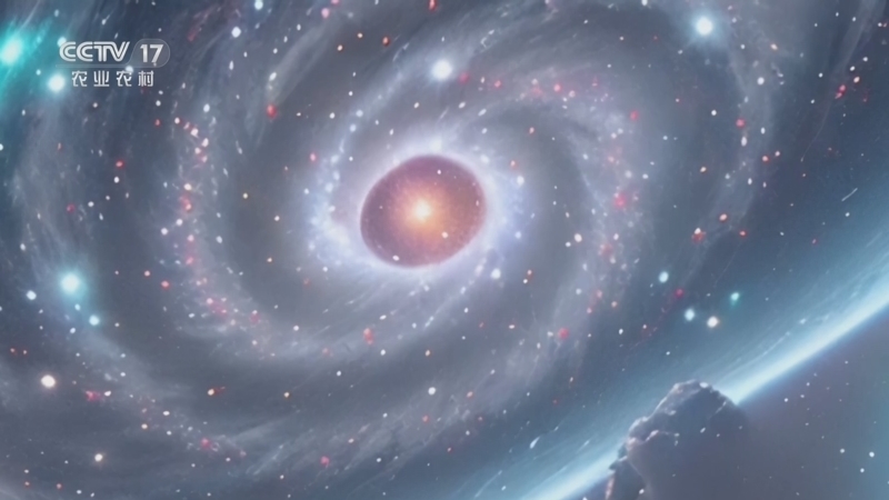 《乡土中国》 20251021 一蔬一菜 第5集 多俩心眼儿 莲藕 莲子