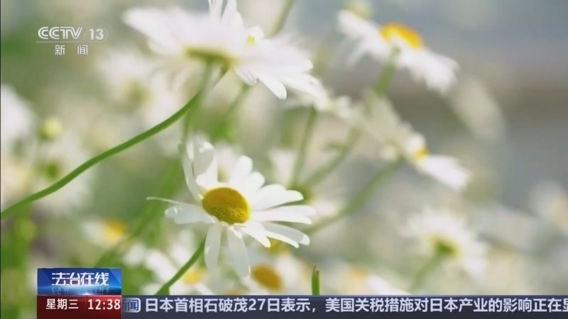《法治在线》 20250528