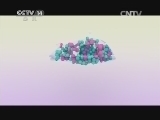 智慧树 《智慧树》 20141112