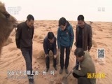 远方的家 《远方的家》长城内外 第174集 神奇驼乡阿拉善 20160623