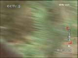 动物世界 动物世界 天生猎手（四）