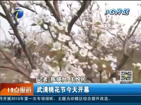 12点报道 《12点报道》 20150411