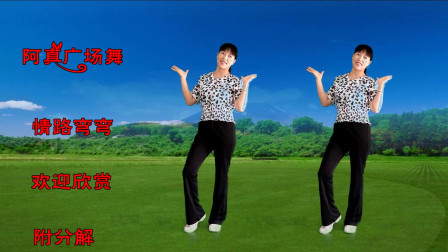 龙梅子一首DJ歌曲广场舞《情路弯弯》歌醉舞美
