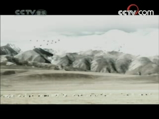 民歌&middot;中国 民歌·中国 2008年 第128期
