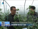 东南晚报 《东南晚报》 20160121
