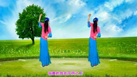 经典金曲DJ广场舞《中华民谣》背面演示分解