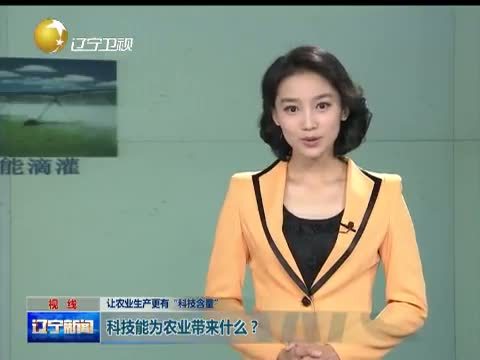 辽宁新闻 《辽宁新闻》 20140906