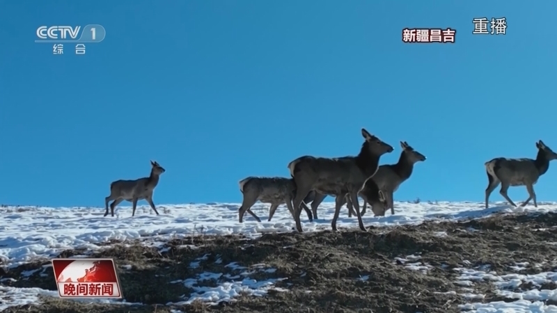 晚间新闻 《晚间新闻》 20230302