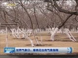 晚间报道 《晚间报道-内蒙古》 20170323
