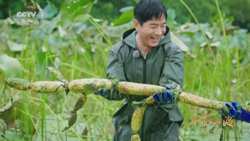 《寻味山海》 20251019 湖北武汉
