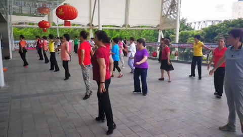 广场舞 广场舞精选《地球之歌》
