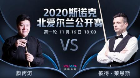 2020斯诺克北爱尔兰公开赛 北爱尔兰公开赛第1轮 颜丙涛VS彼得-莱恩斯