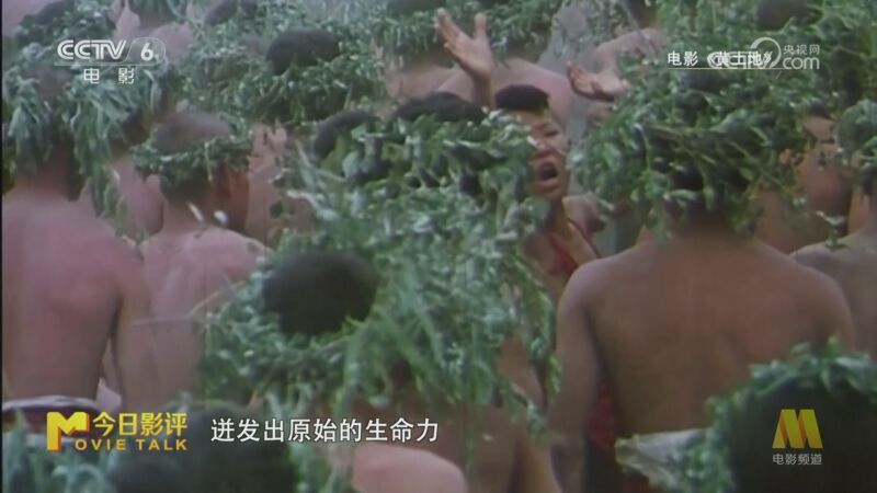 今日影评 《今日影评》 20251224 《光阴的故事·寻踪馆藏》