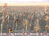 全省新闻联播 《全省新闻联播》 20141025