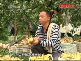 县域经济报道 《县域经济报道》 20110824