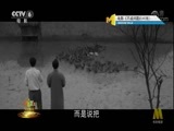 今日影评 《今日影评》 20171121