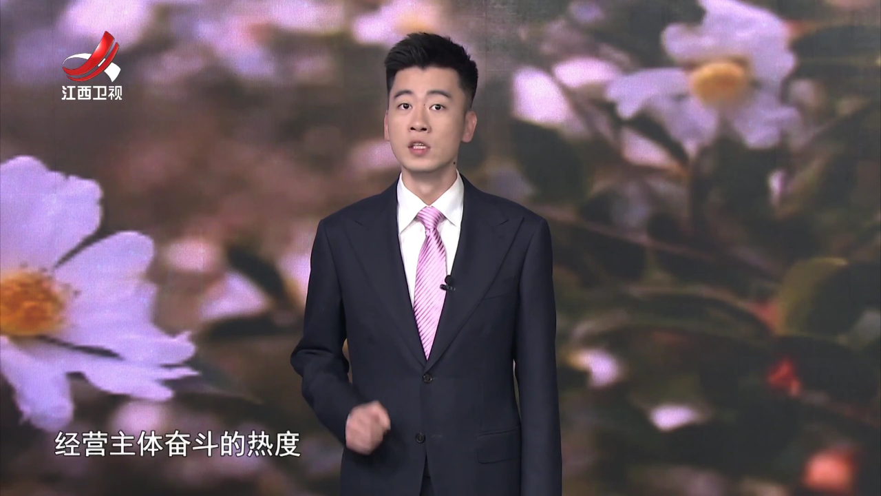 辉煌“十四五”  “赣”出新精彩——油茶果“72变”  撬动百亿产业