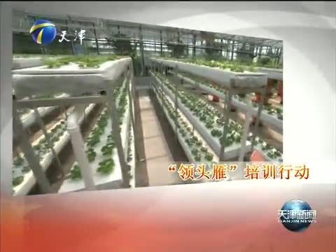 天津新闻 《天津新闻》 20140819